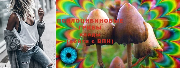 а пвп мука Заводоуковск