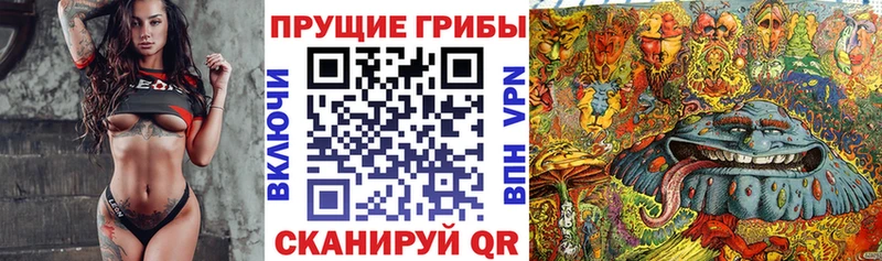 Псилоцибиновые грибы Psilocybine cubensis Славянск-на-Кубани