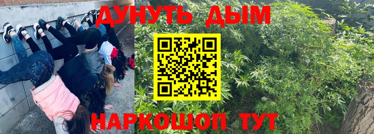 Бошки марихуана гибрид  Конопля план  Бошки марихуана THC 21%  Бошки марихуана THC 21%  Славянск-на-Кубани  Вход с VPN 
